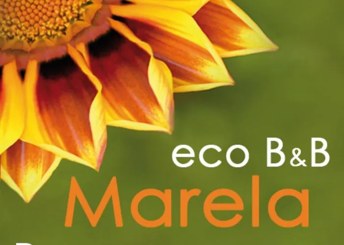 Eco Marela Rome